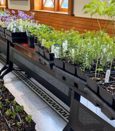 Know Your Native Plant Buyer: What Drives Purchase Decisions and How Much Customers Spend.