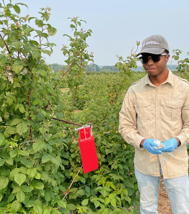 Bug Me: How About a Career as an Extension Entomologist?